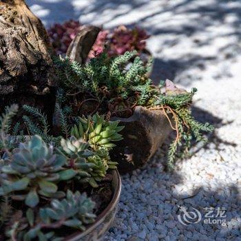 丽江漫悦居客栈酒店提供图片