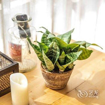 北京闲庭花落公寓(3号店)酒店提供图片