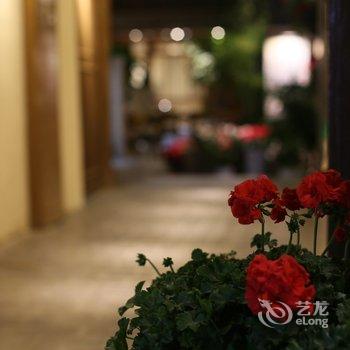 丽江懒虫小住精品客栈酒店提供图片