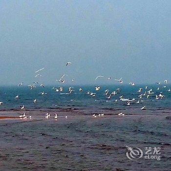 东戴河白金海5号海景公寓酒店提供图片