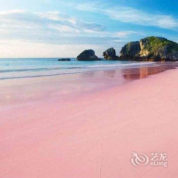 半山伴宿(厦门大学植物园南门)酒店提供图片