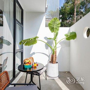 半山伴宿(厦门大学植物园南门)酒店提供图片