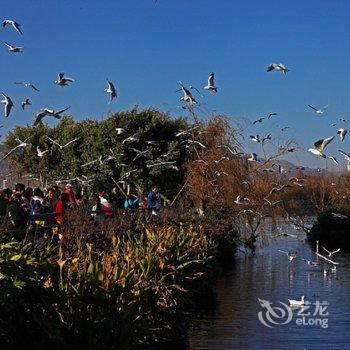 昆明都摩主题复式loft公寓酒店提供图片