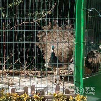 上海小管家2度假别墅酒店提供图片