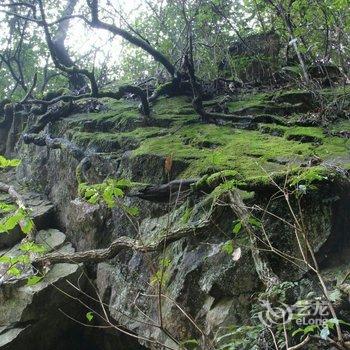 黄山天然泉山庄酒店提供图片