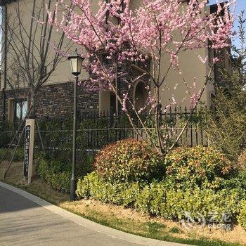 青岛兔子公寓酒店提供图片