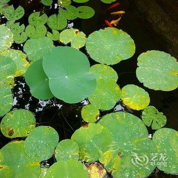 青岛艺海拾贝民宿(3号店)酒店提供图片