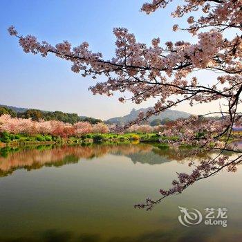 丽橙智酒店(武汉光谷广场杨家湾地铁站店)酒店提供图片