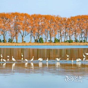 丽橙智酒店(武汉光谷广场杨家湾地铁站店)酒店提供图片