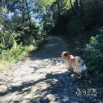 大理鹤隐山舍精品民宿酒店提供图片