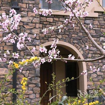 青岛金沙滩特色民宿别墅(12号店)酒店提供图片