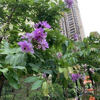 南宁郁金香春天公寓(20号店)酒店提供图片