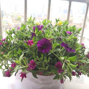 广州大城小爱民宿酒店提供图片