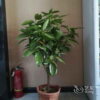 秦迎宾馆(华山景区店)酒店提供图片