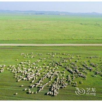 呼伦贝尔牧居原上蒙古包营地酒店提供图片