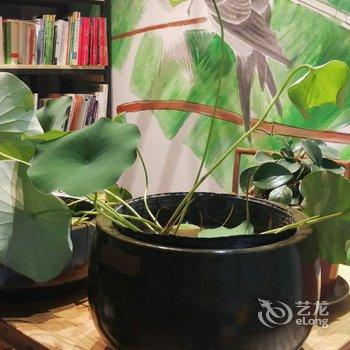 青岛花间集别墅酒店提供图片