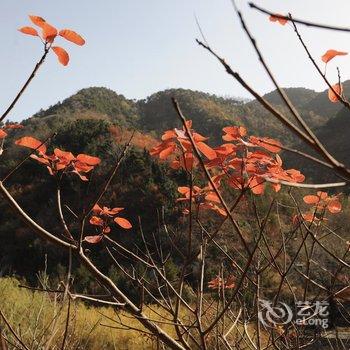 济南若谷山居酒店提供图片