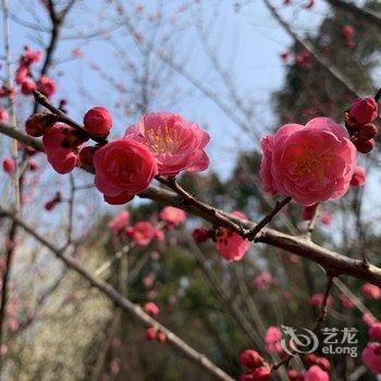 安康瀛湖酒店酒店提供图片