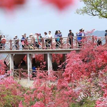 岳西天峡山庄酒店提供图片