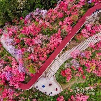 岳西天峡山庄酒店提供图片