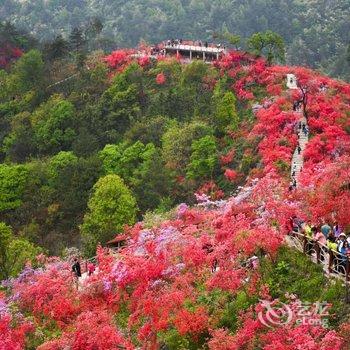 岳西天峡山庄酒店提供图片