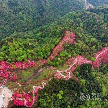 岳西天峡山庄酒店提供图片