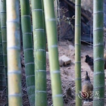 莫干山晓风暮景乡野温泉美宿酒店提供图片