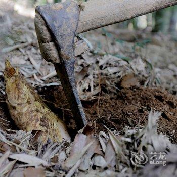 莫干山晓风暮景乡野温泉美宿酒店提供图片
