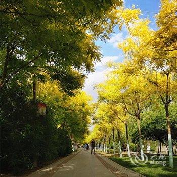 维也纳国际酒店(天津奥体中心凌奥店)酒店提供图片