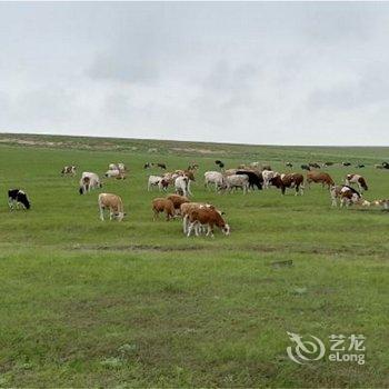 新巴尔虎左旗阿都特游牧部落酒店提供图片