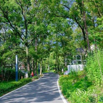 南京平山荣逸民宿酒店提供图片