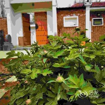 偃师菩提本无树却客居酒店提供图片