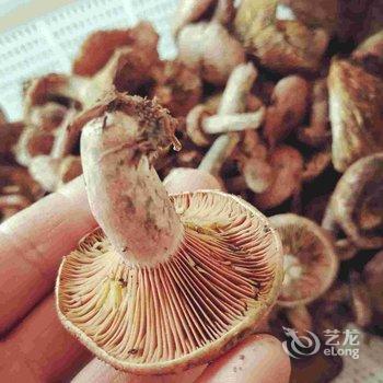 张家界奇缘大酒店酒店提供图片
