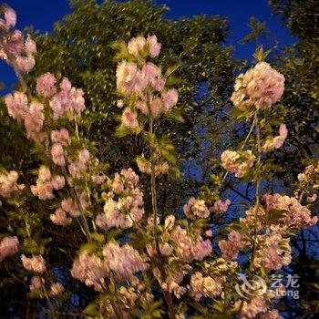 西安朝阳青年旅舍酒店提供图片