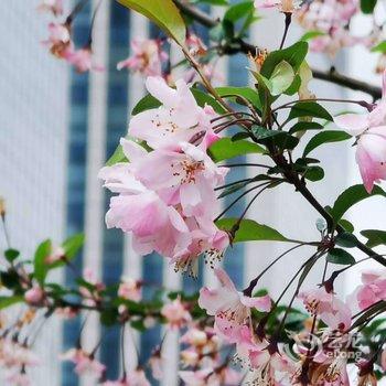 浙江广电开元名都大酒店酒店提供图片