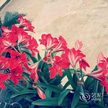 天台山蜀乡苑酒店提供图片