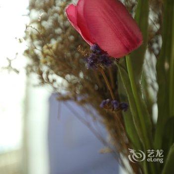 成都自由度太空舱青年旅舍酒店提供图片