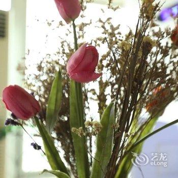 成都自由度太空舱青年旅舍酒店提供图片