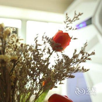 成都自由度太空舱青年旅舍酒店提供图片