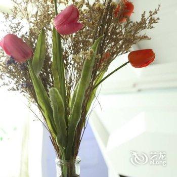 成都自由度太空舱青年旅舍酒店提供图片