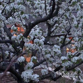 北京Hardy特色民宿酒店提供图片