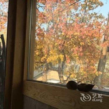 北京Hardy特色民宿酒店提供图片