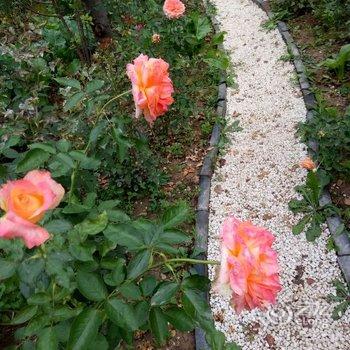 北京Hardy特色民宿酒店提供图片