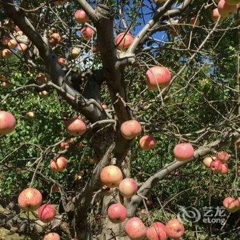 北京Hardy特色民宿酒店提供图片