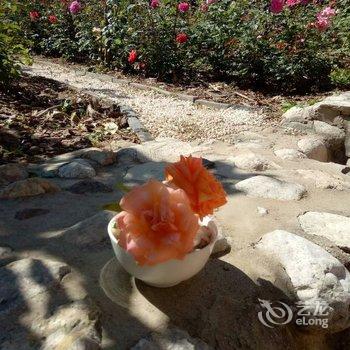 北京Hardy特色民宿酒店提供图片