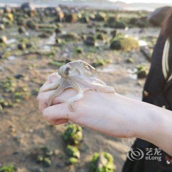 平潭岚星·听涛石屋赶海民宿酒店提供图片