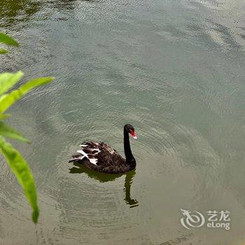 北京天河谷度假别墅酒店提供图片