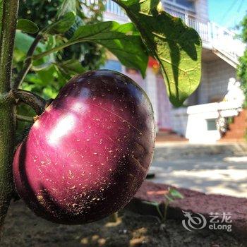 北京本土人家农家院酒店提供图片
