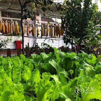 北京本土人家农家院酒店提供图片
