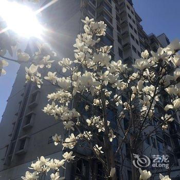 北京海棠湾青年民宿酒店提供图片